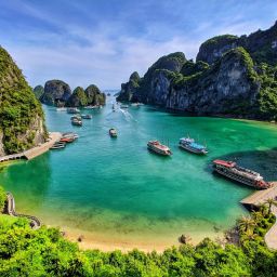 Cardiothoracic Surgery Conference 2026